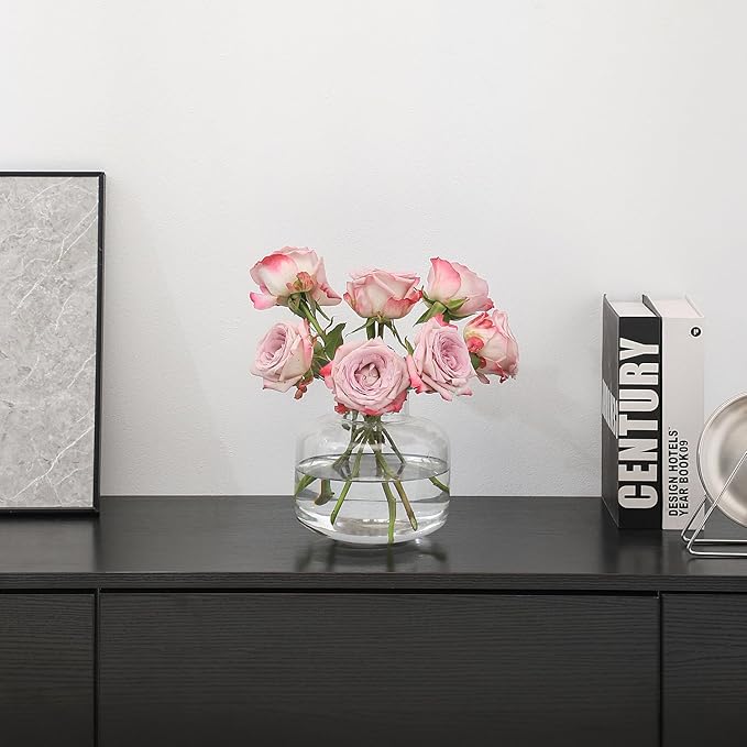 Round Glass Vase, Short Vases for Flowers, 6 Inch Round Clear Glass Vases, Modern Small Vase for Living Room, Dining Table, Wedding, Bookshelf, Office, Entryway