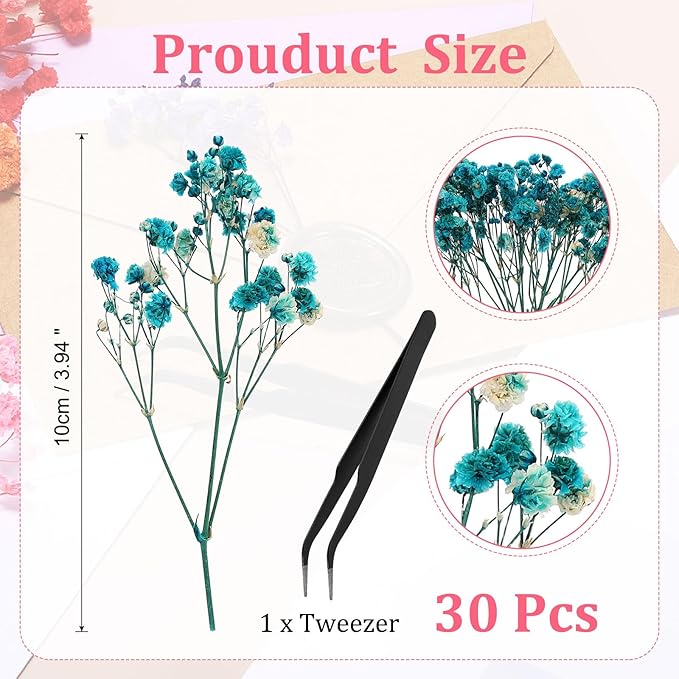 PATIKIL Mini Dried Gypsophila Flower Kit, 30Pcs 4 Inch Blue Natural Pressed Floral Bundles with Tweezer for DIY Resin Crafts Gift Wedding Christmas Card Decor Flower Bouquets
