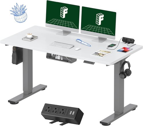 FLEXISPOT EN2 Electric Height Adjustable Standing Desk - 55" White Top with Gray Frame & Power Strip