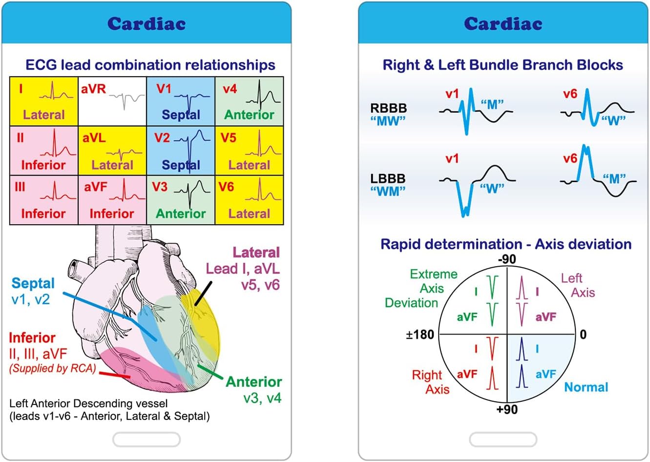 Skiennix Nursing Badge Reference Cards - Essential Pocket Size Success Bundle for Nursing Students