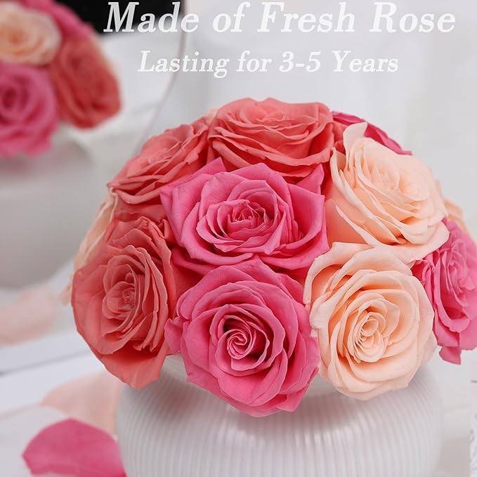 Preserved Roses,Weeding Flowers,Table Centerpiece Flowers,14Pcs Long Lasting Real Rose in Ceramic Vase,Table Flowers for Party,Wedding Decor,Birthday,Anniversary,Wedding Gifts for Her (Color Mix)
