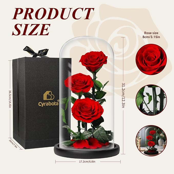 Forever Rose in Glass Dome,12.3 Inch Preserved Real Roses Gift, Long Lasting Eternal Flowers for Women, Mom, Wife, Valentine's Day, Anniversary, Red