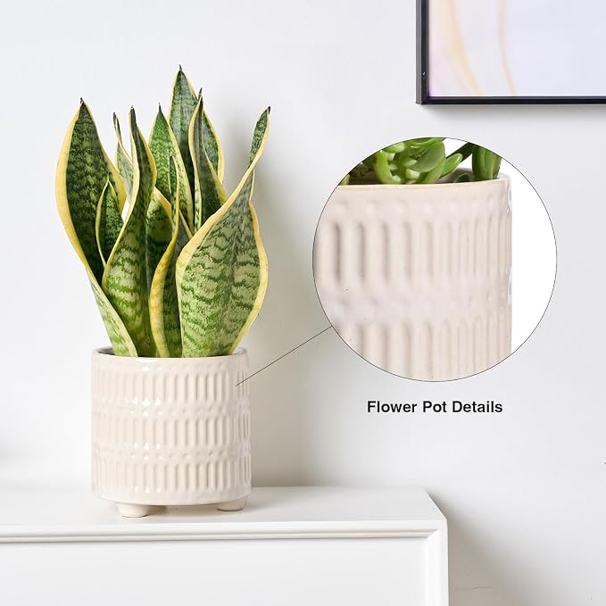 STHIE 5 Inch Ceramic Planters for Indoor Plants, White Cactus Snake Plant Pots with Drainage, Unique Design Round Flower Pot for Home Decoration