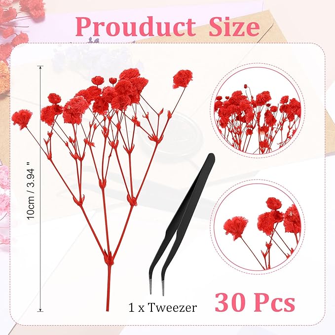 PATIKIL Mini Dried Gypsophila Flower Kit, 30Pcs 4 Inch Red Natural Pressed Floral Bundles with Tweezer for DIY Resin Crafts Gift Wedding Christmas Card Decor Flower Bouquets