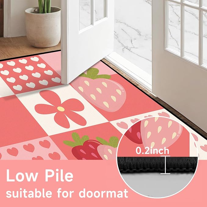 Strawberry Checkered Rug Cute Red Area Rug Love Flower Washable Carpet for Entryway Bedroom Living Room Kitchen Nursery Home Decor Soft Non Slip Floor Mat，2'x3'