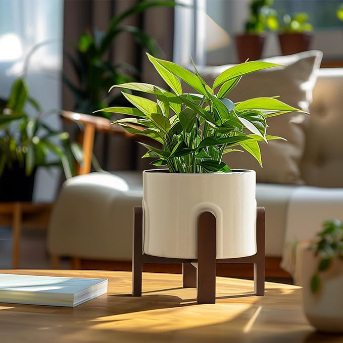La Jolie Maison White Planter with Wood Stand, Large Ceramic Planter for Indoor Plants, 9 Inch Modern Planter Pots Whit Drainage Hole