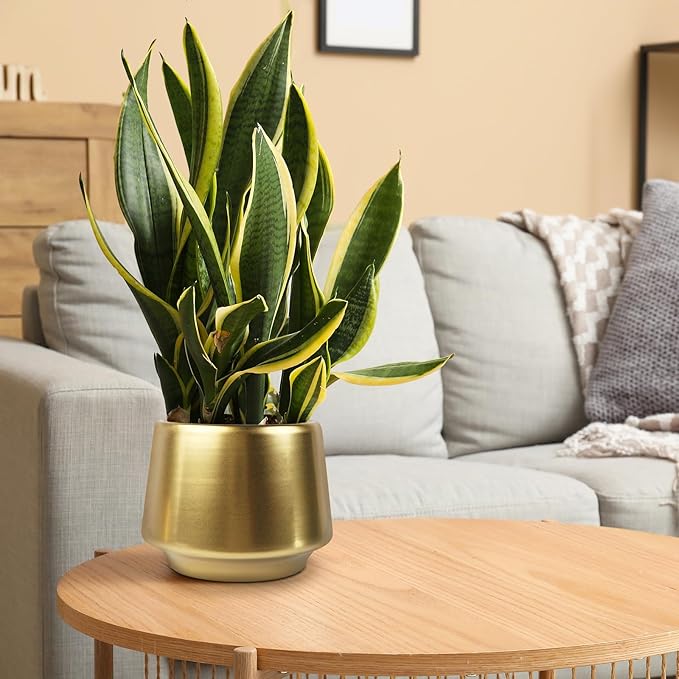 Gold Planter Flower Pots 6 inch Decorative Plant Pots for Indoor Gold Brass Succulent Plant Pots Containers (Dia 6 inch), Small 5.9‘’