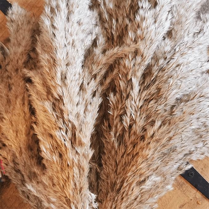 20 Pcs 27 Inch Tall Fluffy Pampas Grass XL Size Brown Dry Pompous Grass Decor Wedding Flower Boho Decor Natural Pompas Flower Bouquet (Brown, 27 inch)
