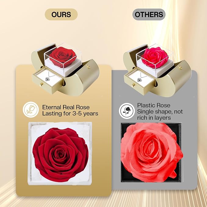 moshen Preserved Rose Set with I Love You Necklace 100 Languages, Gifts for Wife Girlfriend Mom Women Her (beige)