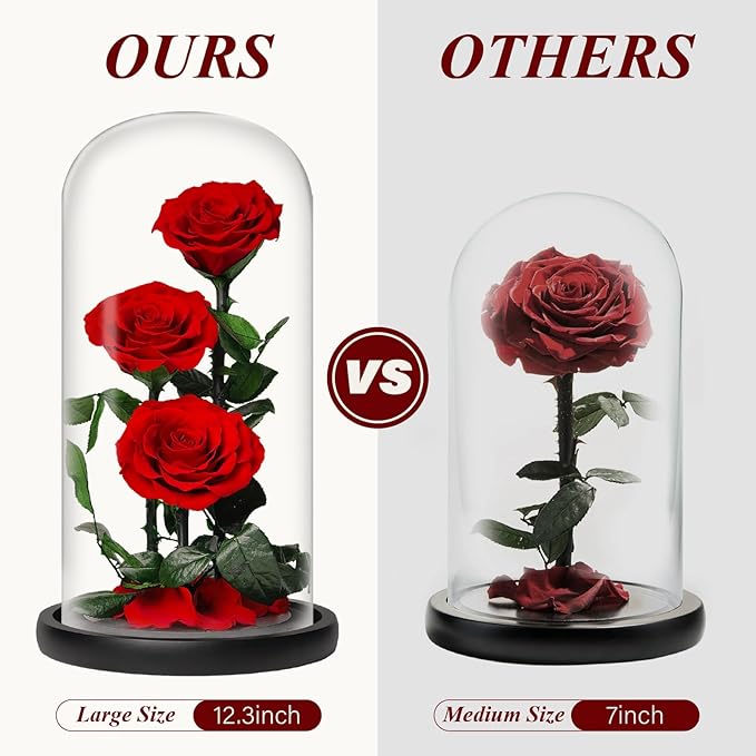 Forever Rose in Glass Dome,12.3 Inch Preserved Real Roses Gift, Long Lasting Eternal Flowers for Women, Mom, Wife, Valentine's Day, Anniversary, Red