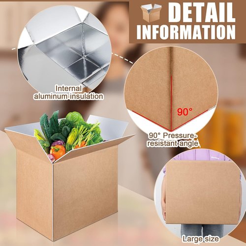 Henoyso Large Insulated Shipping Box - 5 Pcs 19" x 12" x 16" for Frozen Food with Foil Liner