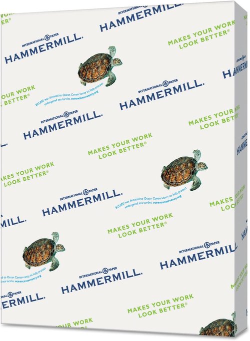 Hammermill Colored Paper - 20 lb Gray Printer Paper, 8.5 x 11 | 10 Reams (5,000 Sheets) - Made in the USA