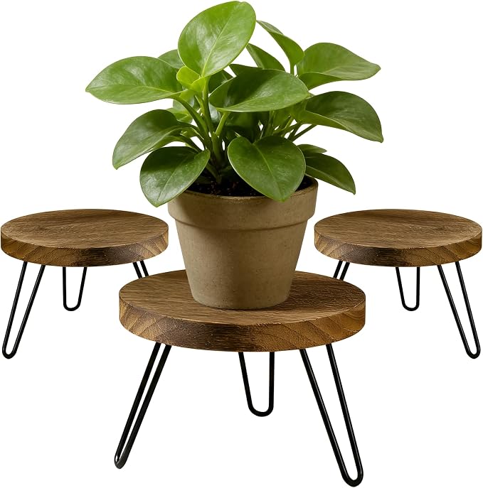 ROSSNY Small Indoor Plant Stand Stool: Fits for Under 10" Wide Pot - Wooden Plant Stool - Single Tier Short Round Plant Stool - Mid-century Modern Style for Indoor Outdoor Home Garden Décor, Dark Brown, 3 Pack (Without Pot)
