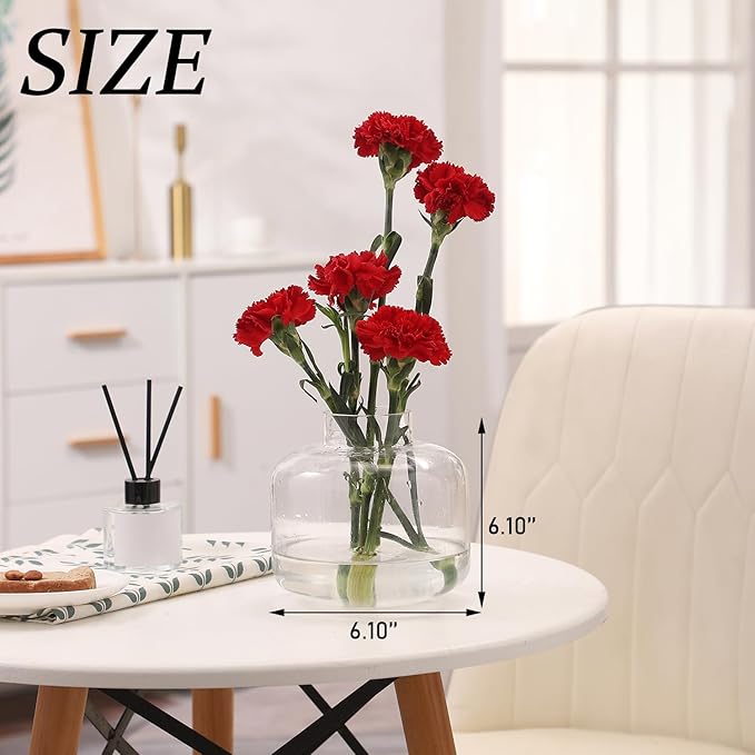 Round Glass Vase, Short Vases for Flowers, 6 Inch Round Clear Glass Vases, Modern Small Vase for Living Room, Dining Table, Wedding, Bookshelf, Office, Entryway
