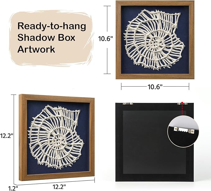 FOLKOR Beach Wall Art Decor for Living Room Bedroom Guest Room, 12" Framed Seashell Shadow Box Art with Blue Background, 3D Coastal Wall Hanging Accent for Entryway Staircase Exhibition Gallery Wall