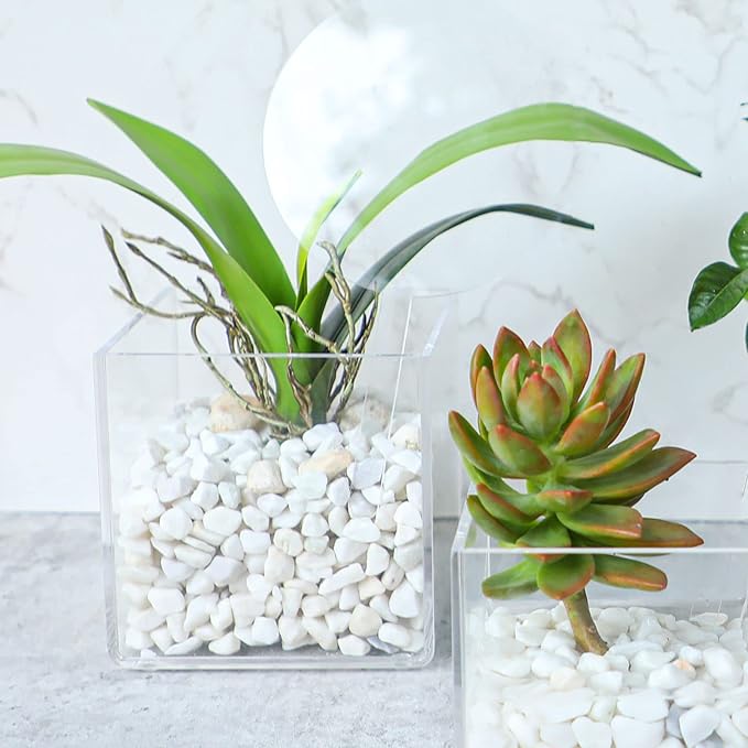 Kamehame Clear Vase 2 Pcs Acrylic Vase, 5"x5"x5" Succulent Pots Planters, Square Cube Vases for Centerpieces, Flower Vase for Home Office Wedding Floral Decor