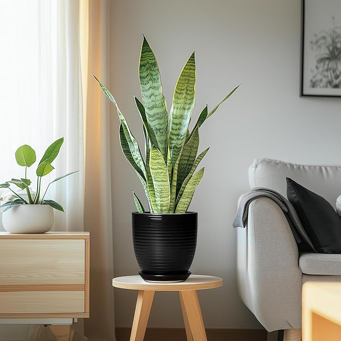 6 Inch Plant Pot - Ceramic Planters for Indoor Outdoor Plants, Modern Flower Pots with Drainage Hole and Saucer, Round Ceramic Planter, Office Room Decor, Gifts for Plant Lovers, Matte Black