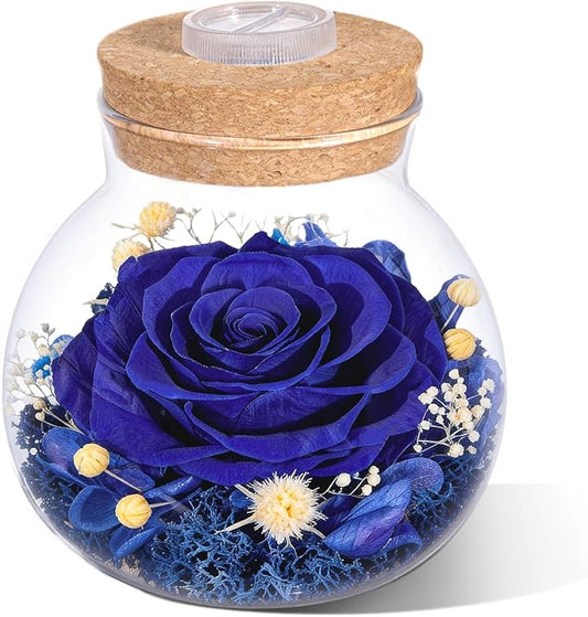 Christmas Birthday Gifts for Women Mom Preserved Rose Eternal Forever Flower in Glass Wishing Bottle with Colorful LED Light Flowers for Delivery Prime for Grandma Wife Sister Friend from Daughter