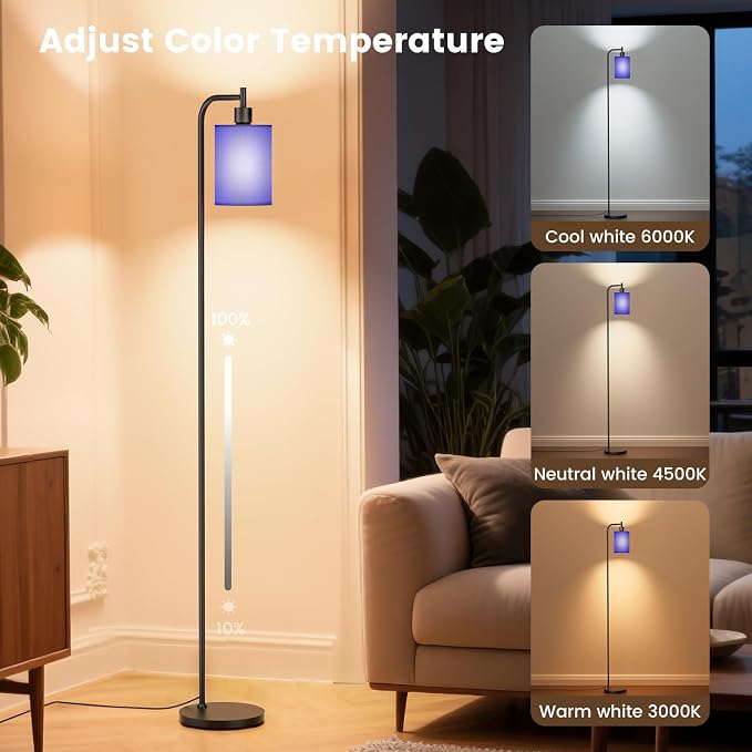 SIBRILLE Floor Lamp with Linen Shade, Dimmable Tall Standing Lamp with Remote Control & 3 Color Temperatures, Modern Floor Lamps for Living Room Bedroom Office Corner, 9W LED Bulb Included