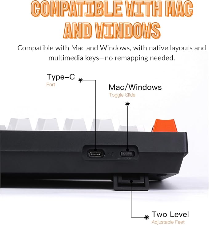 Keychron C2 Full Size 104 Keys Wired Mechanical Gaming Keyboard for Mac Layout with Gateron G Pro Red Switch/White LED Backlight/Double Shot ABS Keycaps/USB C Computer Keyboard for Windows Laptop