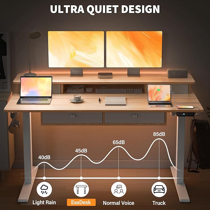 55 * 30 Inches Electric Standing Widened Desk Adjustable Height with 4 Drawers, Double Storage Shelves, Home Office Workstation Sit Stand up Desk (Nature)