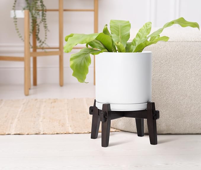 D'vine Dev Ceramic Planter with Wood Stand - 8 Inch Mid Century Modern Cylinder Indoor Plant Pot Set for Indoor Plants & Flowers, White, 55-A-Y-1