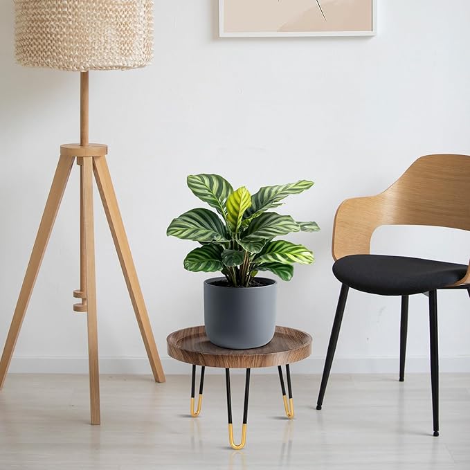 OBTAIN Plant Stand Indoor Outdoor,2 Set Mid Century Style Walnut Wood Color Plant Stand,Waterproof Design Modern Plant Table,Easily Assemble Come With Tools,Nice For Room Decor (M,L)
