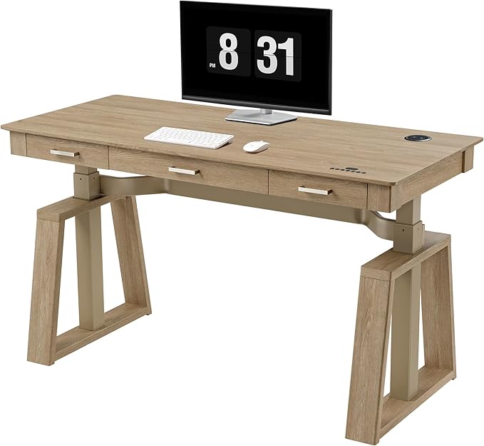 EUREKA ERGONOMIC Standing Desk,60x26 Executive Desk with 3 Drawer Adjustable Height Electric Desk Home Office Computer Desk Modern Workstation with Memory Controller