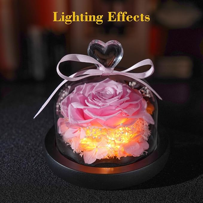 Flowers for Delivery - Forever Flowers Rose in Glass Dome with LED Lights, Large Size Preserved Roses Gifts for Women, Mom, Wife, Friend -Birthday, Anniversary, Valentine's Day Gift (Pink)