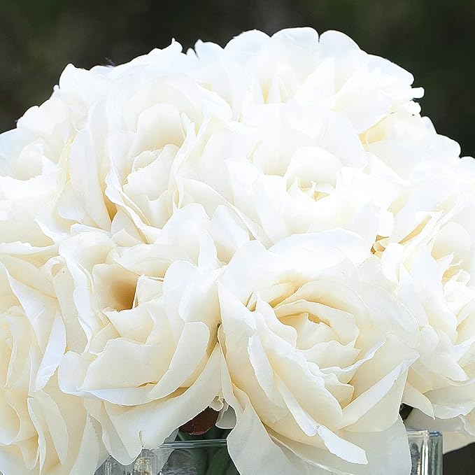 ENOVA FLORAL 18 Pieces Rose Artificial Flowers in Vase, Artificial Flowers Arrangements in Vase with Faux Water for Dining Table Decoration, Home Decor Indoor(Cream)