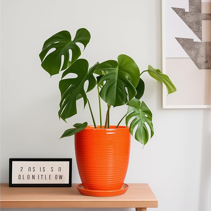 8 Inch Plant Pot, Ceramic Planters for Plants with Drainage and Saucer, Orange