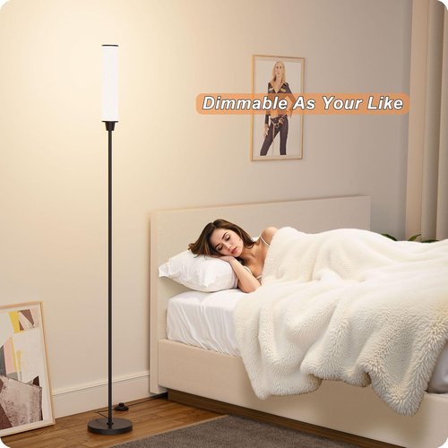 Nukanu Floor Lamp - Remote Control & Stepless Adjustable 3000K-6000K Colors | Black & Beige Linen