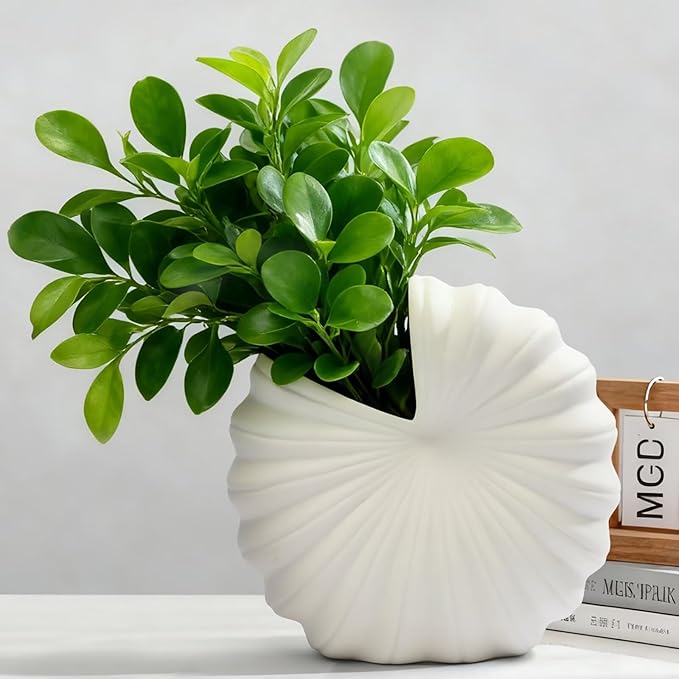 White Shell-Shaped Ceramic Vase for Flowers, 8 Inch Nordic Flower Vases