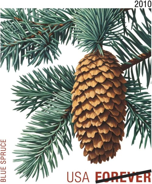 Holiday Evergreen Stamps by Forever - Pane of 20 for Festive Mailings