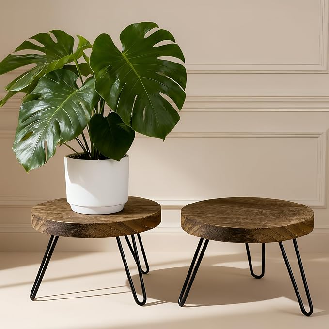 ROSSNY Small Indoor Plant Stand Stool: Fits for Under 10" Wide Pot - Wooden Plant Stool - Single Tier Short Round Plant Stool - Mid-century Modern Style for Indoor Outdoor Home Garden Décor, Dark Brown, 2 Pack (Without Pot)