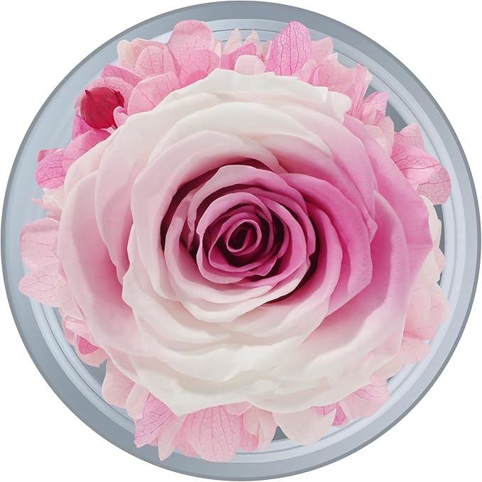 Sunia Preserved Flower Rose Gift for Women - Mother's Day Birthday Gifts for Mom Wife Grandma, Glass Angel Figurines Forever Real Roses Gifts for Her Valentine Day Thanksgiving﻿ (Gradient Pink)