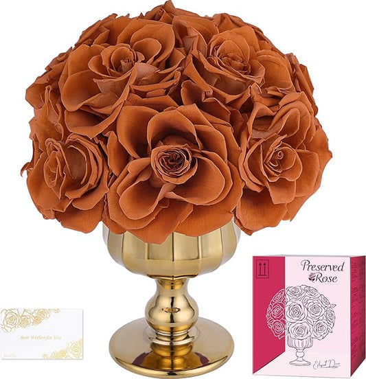 Forever Flowers Preserved Roses in Glass Vase, Fall Flower for Delivery, Eternal Roses Autumn Gift for Women, Table Centerpiece Flowers for Home Decor Wedding Birthday Anniversary Party