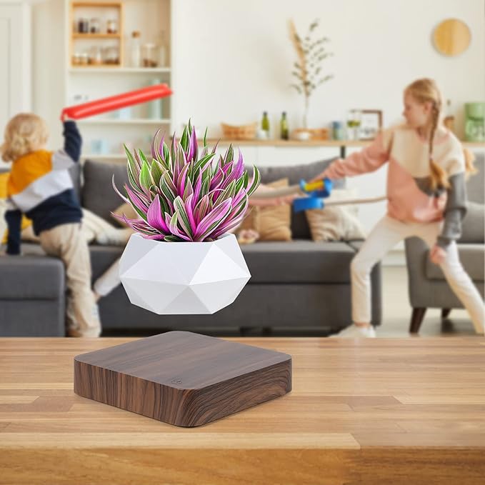 Levitating Air Bonsai Pot,Cool Stuff, Rotation Flower Pot Planters, Potted Plant Home Desk Decor in Flower Pots & Planters from Home & Garden on (Dark Color)