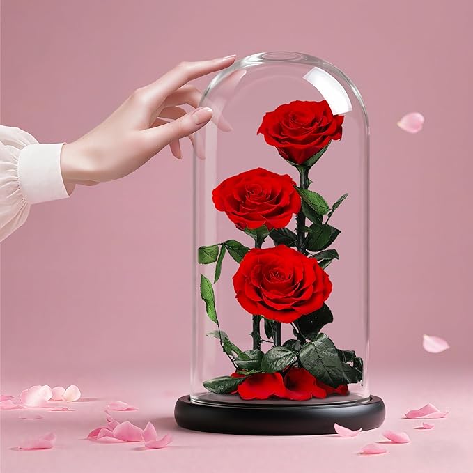 Forever Rose in Glass Dome,12.3 Inch Preserved Real Roses Gift, Long Lasting Eternal Flowers for Women, Mom, Wife, Valentine's Day, Anniversary, Red