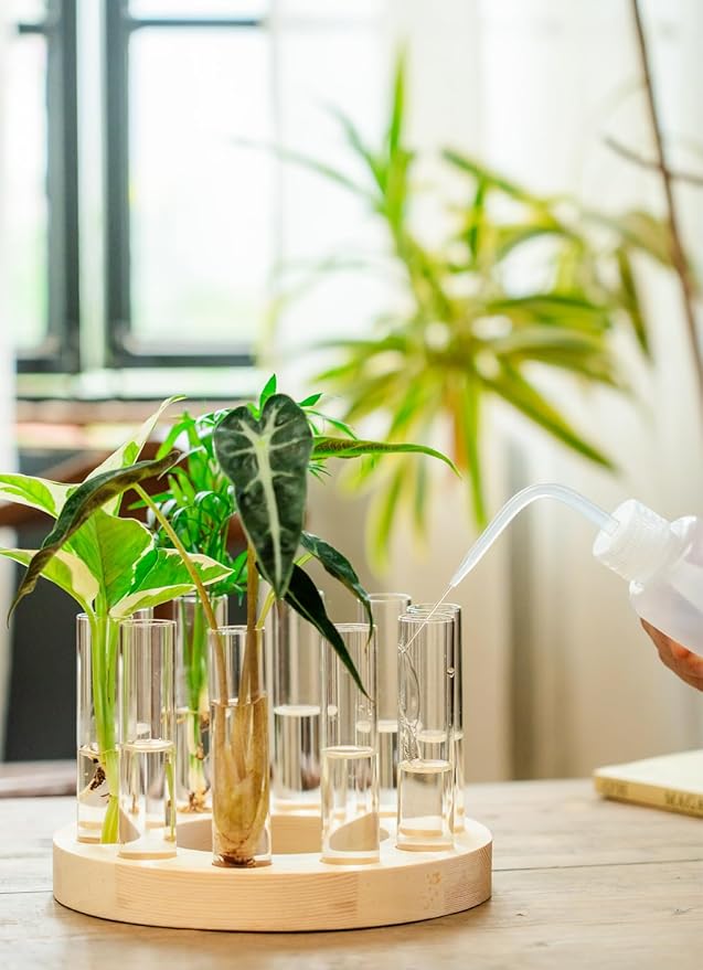 Melphoe Glass Bud Vases Small Flower Vase for Centerpieces Wedding Table Decorations, Home Decor, Propagation Station Plant Terrarium with Wooden Stand, Unique Plant Lover Gifts for Women (Beige)