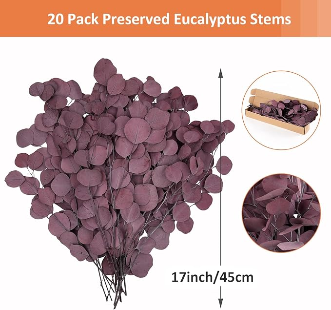 Real Eucalyptus Stems 20PCS Dried Preserved Eucalyptus - Fresh Eucalyptus Silver Dollar Leaves for Shower - Red Branches for Wedding Home Party Vase Filler Fall Decor