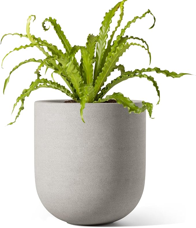 LE TAUCI 6 Inch Plant Pot, Ceramic Planter for Herbs & Small Houseplants, Tabletop Indoor Pot for Shelf, Desk and Windowsill, Small Planter with Drainage Hole & Rubber Plug, Neutral Gray