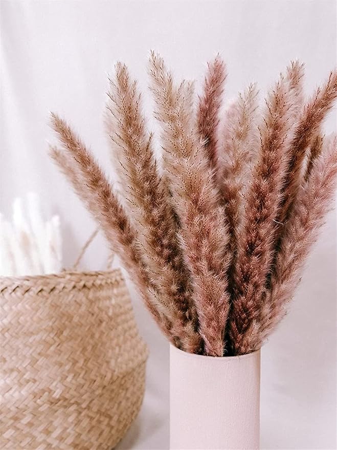 60 Pcs Pampas Grass ,17.7 inch/45cm Natural Dried Pampas Grass Branches Decor for Home Kitchen Garden Party Photographing Flower Arrangement Vase Decor (Natural)…