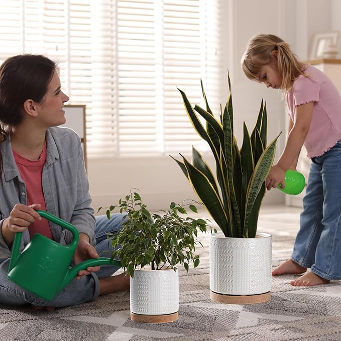 Indoor-Outdoor Ceramic Plant Pots: 6 Inch Flower Pots with Drainage Hole & Saucer - Decorative Ceramic Pots for Plants Herbs Succulents - Home Garden Patio Lawn Use