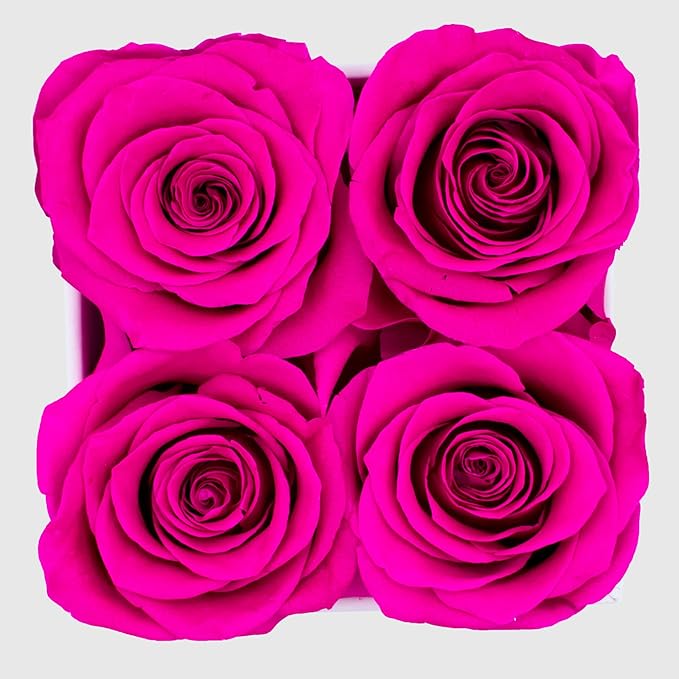 Graceful Fleurs | Real Long Lasting Roses for Years | Preserved Fresh Flowers for Delivery Birthday | Birthday Gifts for Women | Forever Roses in a Box (Radiant Pink, White Box, 4 Roses)
