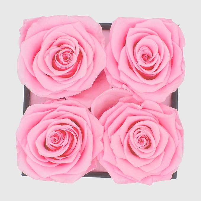 Graceful Fleurs | Real Long Lasting Roses for Years | Preserved Fresh Flowers for Delivery Birthday | Birthday Gifts for Women | Forever Roses in a Box (Pink, Black Box, 4 Roses)