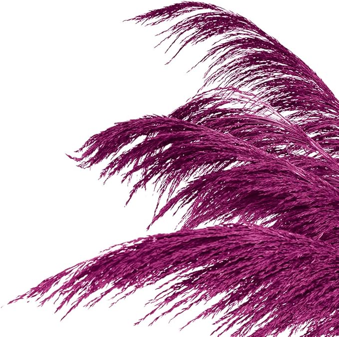 Pampas Grass Decor Tall,Long Pampas, Large Pompas Floral, Elegant Feather Flowers for Wedding Decorations, Living Room Decor (Natural Purple Red, 8pcs 31.5"(80cm))