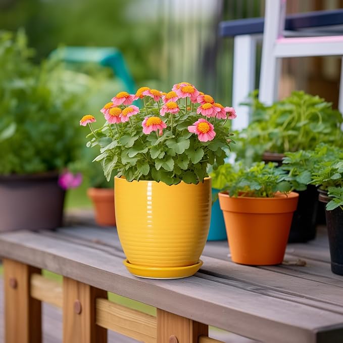 Ceramic Pots for Plants - 6 Inch Plant Pot for Indoor Plants, Ceramic Planter with Drainage Hole and Saucer, Round Decorative Flower Pots, Desk Home Decor, Plant Lover Gifts, Glossy-Yellow