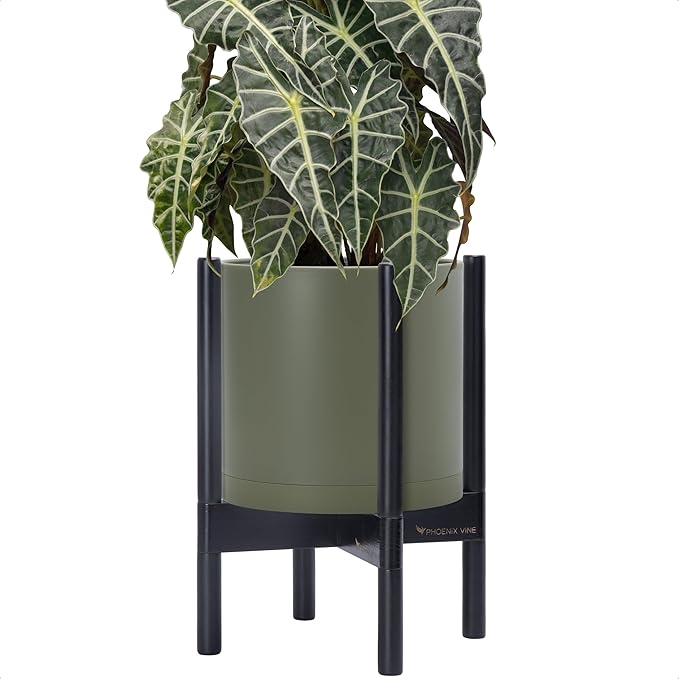 D'vine Dev Planter Pot with Stand - 10 Inch Plastic Cylinder Flower Pot with Wood Planter Holder for Indoor, Olive Pot + Ebony Stand, 55-C-N-3