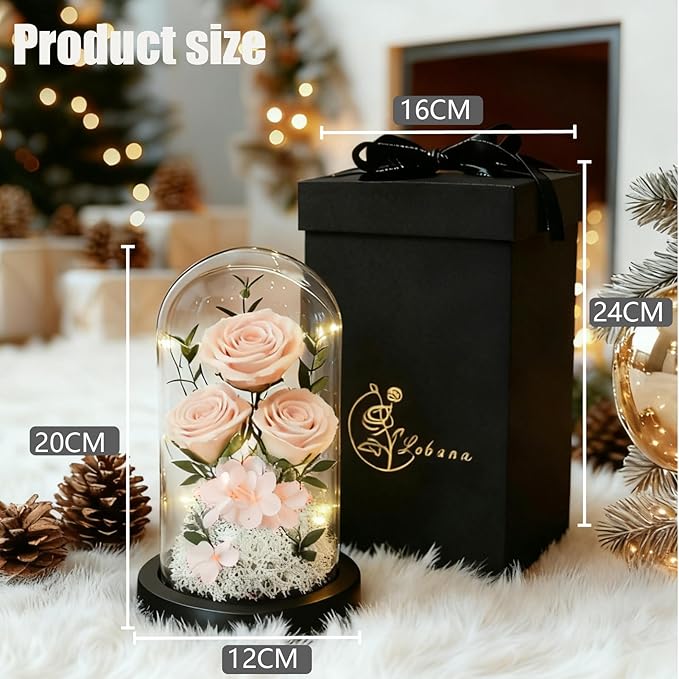 Birthday Gifts for Women Mom Fresh Flowers for Delivery Prime Forever Preserved Rose in Glass Dome Gifts for Her Girlfriend Grandma Daughter Wife Valentines Mothers Day Christmas Anniversary-Champagne
